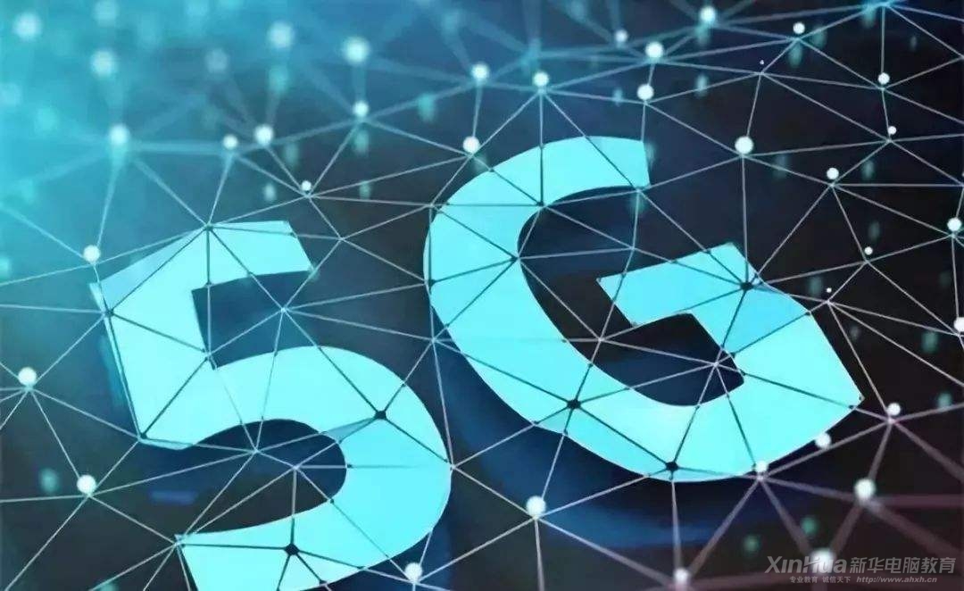 AI(y)f(shu)5G(lin)W(wng)r(sh)L(fng)µǰИI(y)